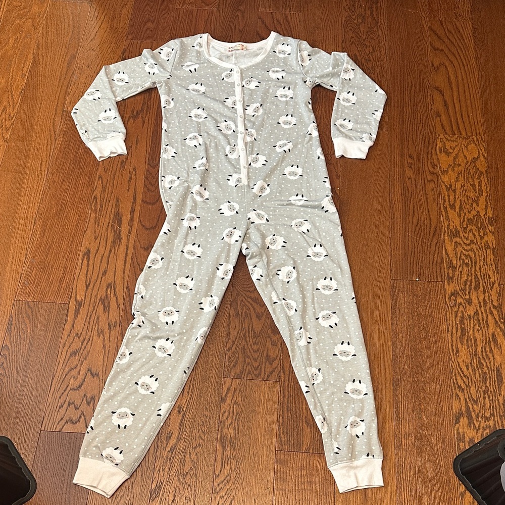 Cozy Gray One Piece Pajama